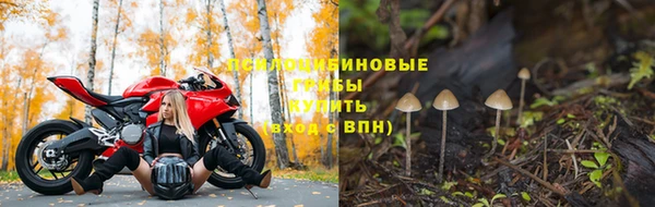 спиды Армянск