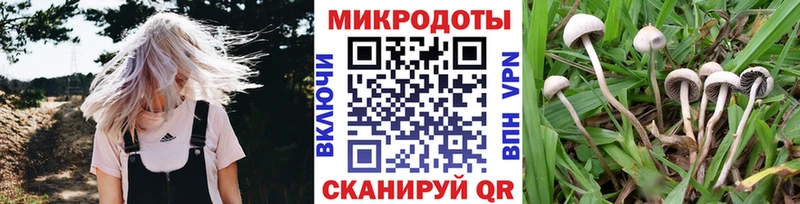 Псилоцибиновые грибы мицелий  наркошоп  мега ссылка  Светогорск 
